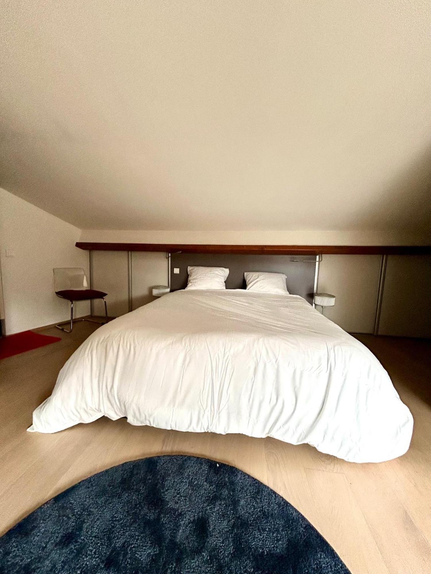 Loft Garonne - Centre Ville Immeuble Privatif Toulouse Exterior photo