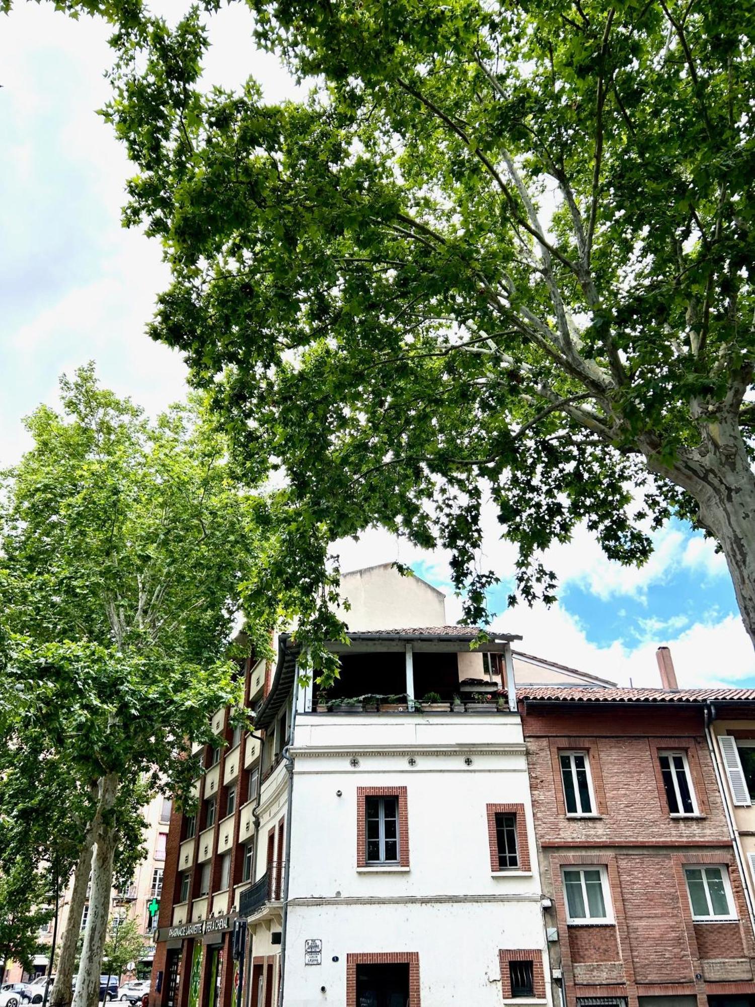 Loft Garonne - Centre Ville Immeuble Privatif Toulouse Exterior photo
